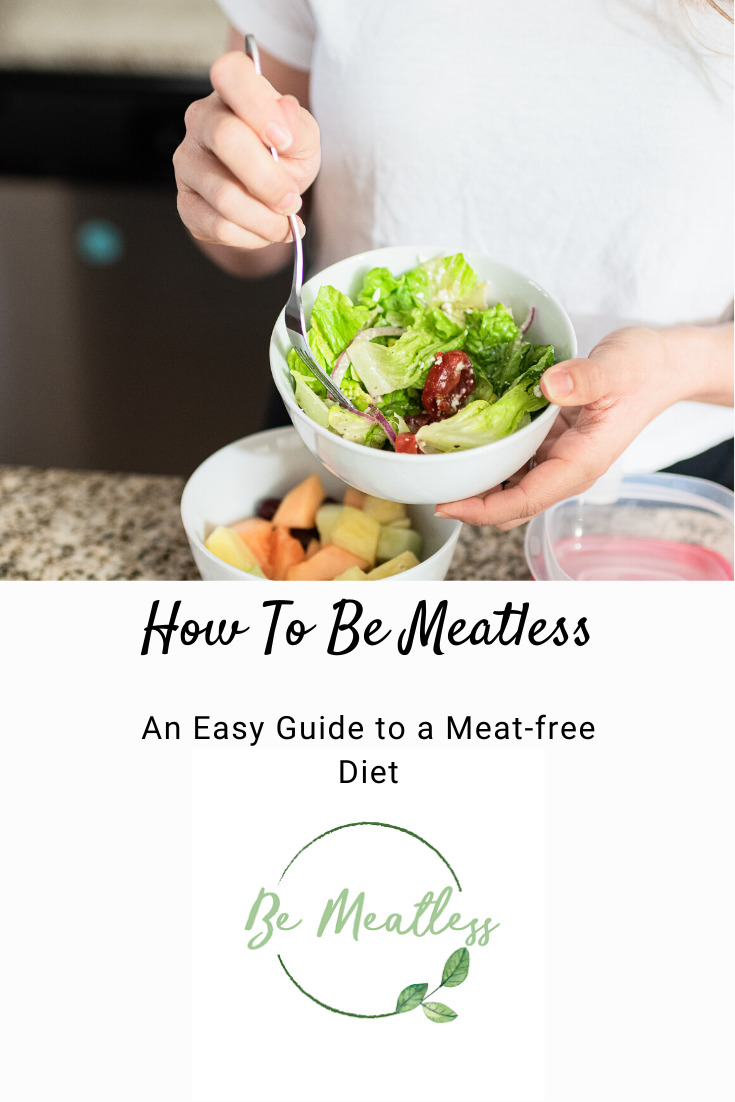 How to Be Meatless : An Easy Guide to a Meat-free Diet - Be Meatless